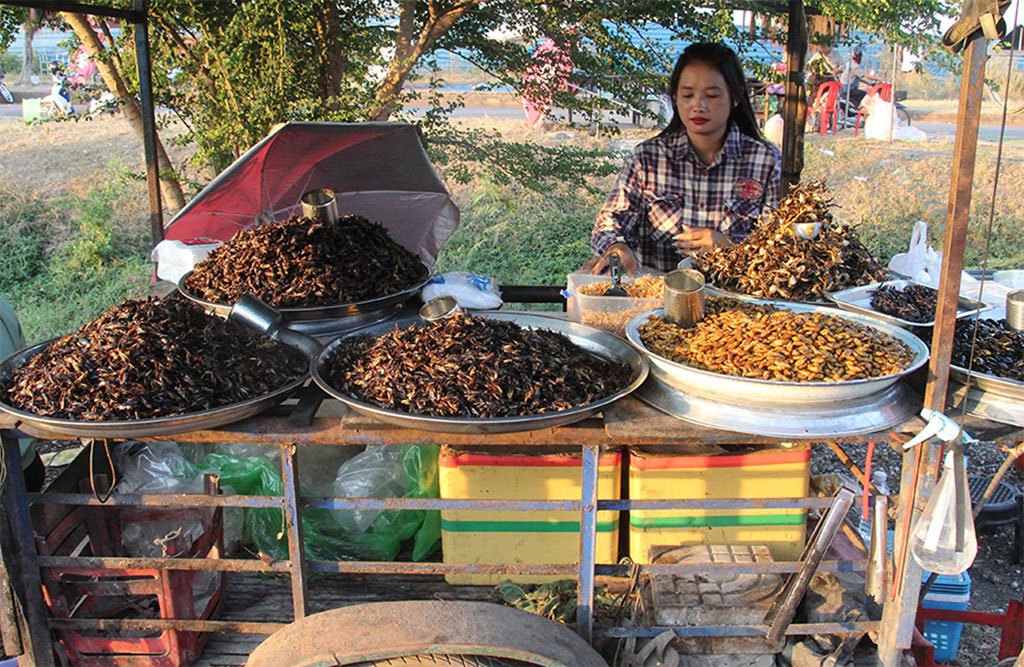 Cambodia Street Food Snacking Insects
