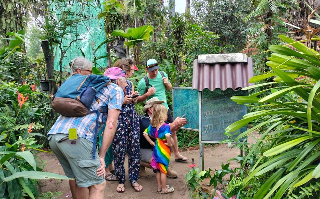 Banteay Srey Butterfly Centre (BBC)